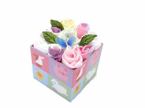 Gift   Baby on Baby Gift Box Bouquet   Bubs In Arms Blog